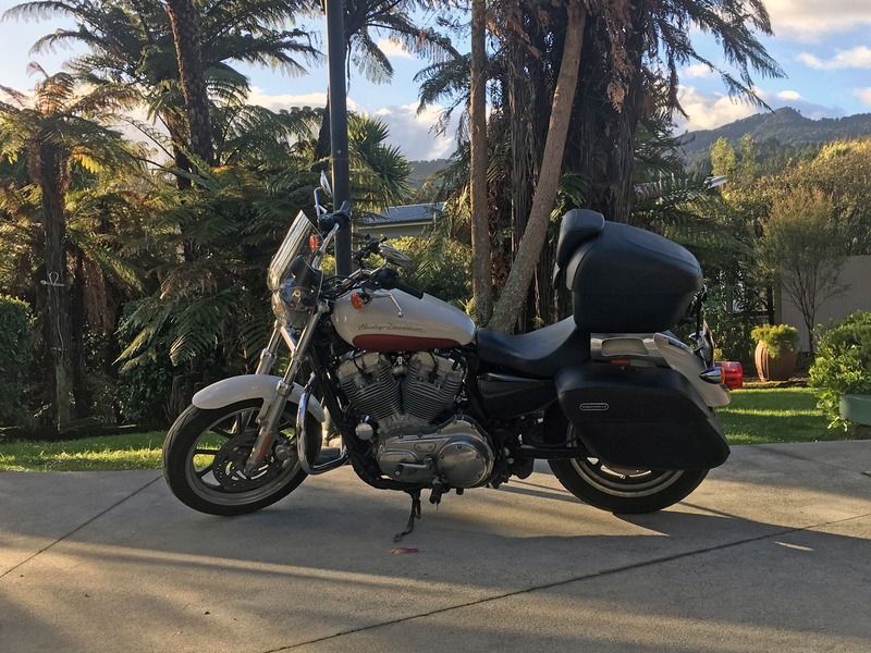 Harley Davidson Motorcycle Rental - Sportster 883 Low